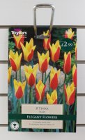 Taylors Tinka Tulips - 8 Bulbs