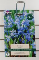 Taylors Scilla Siberica - 15 Bulbs