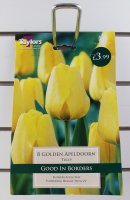 Taylors Golden Apeldoorn Tulips - 8 Bulbs