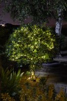 Smart Garden Solar Firefly String Lights - 100 Warm White LEDs
