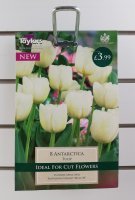 Taylors Antarctica Tulips - 8 Bulbs