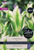 Taylors Greenstar Tulips - 9 Bulbs