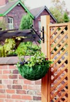 Ambassador12" Hanging Basket Bracket Black