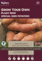 Taylors Pink Fir Apple Main Crop Seed Potatoes - 10 Bulbs
