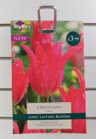 Taylors Pretty Love Tulips - 8 Bulbs
