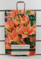 Taylors Batalinii Salmon Gem Tulips - 5 Bulbs