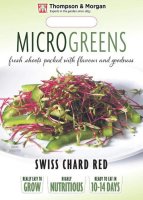 Thompson & Morgan Microgreens Swiss Chard Red Chard