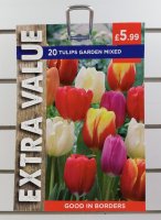 Taylors Mixed Garden Tulips - 20 Bulbs