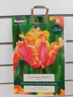 Taylors Amazing Parrot Tulips - 6 Bulbs