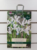 Taylors Frozen Planet Iris Reticulata - 12 bulbs