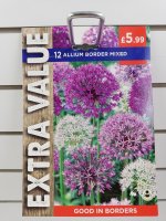 Taylors Allium Border Flowers - 12 Mixed Bulbs