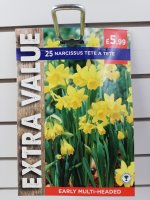 Taylors Tete A Tete Daffodils - 25 Bulbs