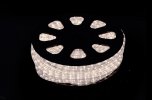 Jingles 10M LED Multi-Function Rope Light with 2M Lead Wire - White