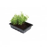 Garland Professional Half Seed Tray - Pack of 5