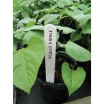 Garland 25 White Plant Labels - 10cm (4