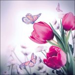 3-PLY Napkin Butterfly & Tulips FSC Mix