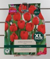 Taylors Red Impression Tulips - 18 Bulbs