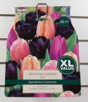 Taylors Cutting Garden Tulips - 20 Bulbs