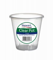 Stewart 11cm Clear Pot