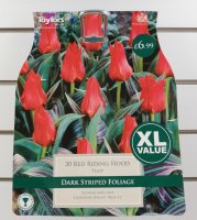 Taylors Red Riding Hood Tulips - 20 Bulbs