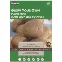 Taylors Bambino Main Crop Seed Potatoes - 10 Bulbs
