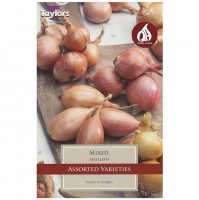 Taylors Assorted Shallot Bulbs - 12 Mixed Bulbs