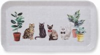Cooksmart Curious Cats Small Tray