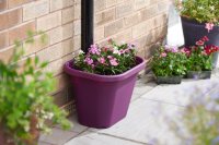 Clever Pots Downpipe Plant Pot - Orchid