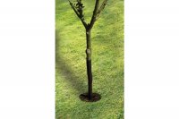 Garland 61cm (24") Spiral Tree Guard