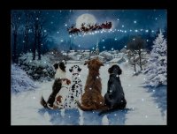 SnowTime Battery Operated Fibre Optic Canvas 40 x 30cm - Christmas Dogs