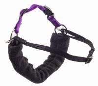 Ancol PDL Harness & Lead - Small (+DVD)