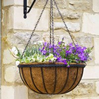 Smart Garden Saxon Hanging Basket 12”