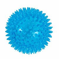 Petface Toyz Space Ball Blue - Small