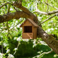 ChapelWood Robin Nest Box