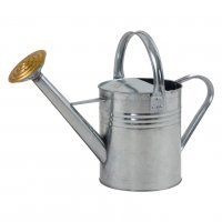 Ambassador Galvanised Watering Can 1 Gallon