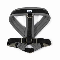 Ancol Viva Padded Dog Harness Medium- Black- 41-53cm