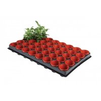 Garland Professional Seed Cutting Tray - 40 x 6cm Pots