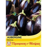 Thompson & Morgan Aubergine Bonica