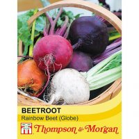 Thompson & Morgan Beetroot Rainbow Beet
