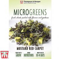 Thompson & Morgan Microgreens Mustard Red Carpet