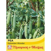 Thompson & Morgan Pea Kelvedon Wonder