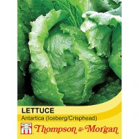 Thompson & Morgan Lettuce Antartica