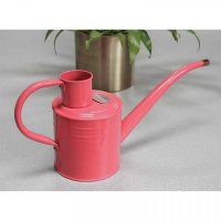Home & Balcony 1L Watering Can