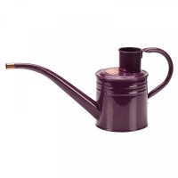Home & Balcony 1L Watering Can