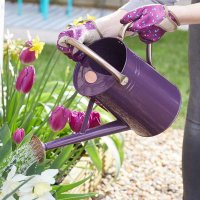 Smart Garden GroZone Watering Can 4.5lt - Violet