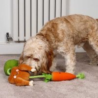 Zoon Tugga Dog Toy - Chicken Dinner