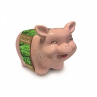 Taylors Grow-Your-Own Novelty Pig Planter - Parsley