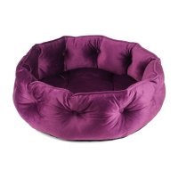Zoon Button Tufted Donut Bed - Mulberry