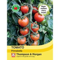 Thompson & Morgan Tomato Primabella