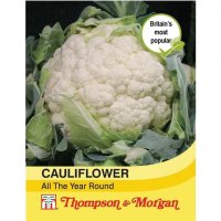 Thompson & Morgan Cauliflower All The Year Round